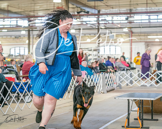 20240330-DSC00953