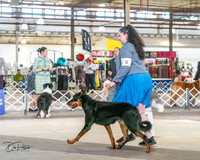 20240330-DSC00939
