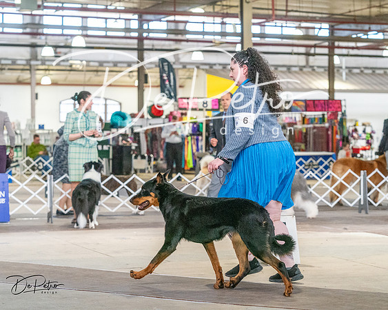 20240330-DSC00939