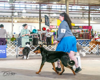 20240330-DSC00940