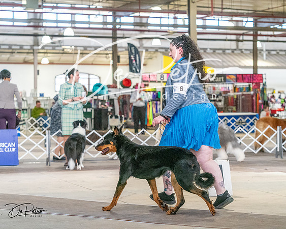 20240330-DSC00940