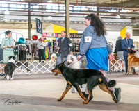 20240330-DSC00935