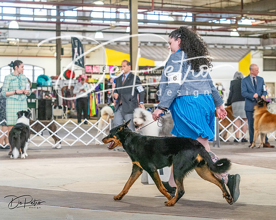 20240330-DSC00935