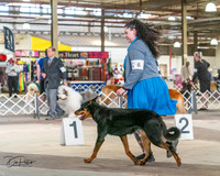 20240330-DSC00931