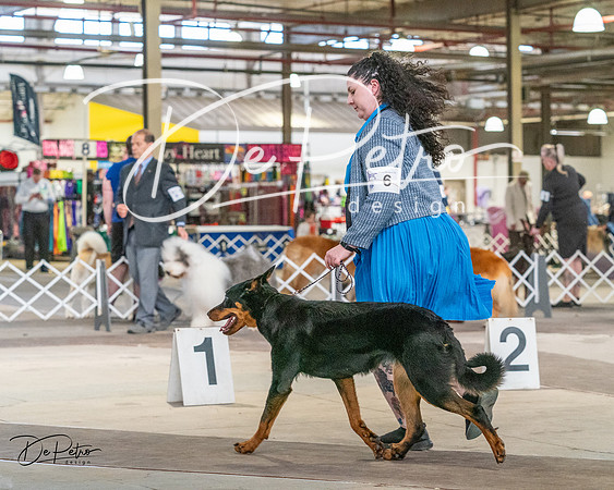 20240330-DSC00931