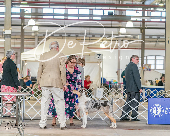 20240330-DSC00955