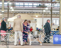 20240330-DSC00957