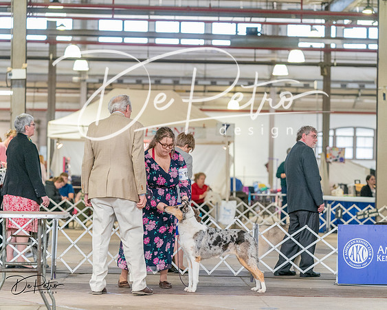 20240330-DSC00957