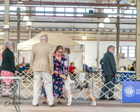 20240330-DSC00956