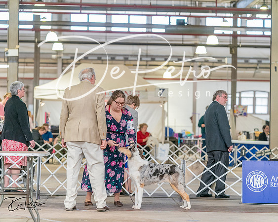 20240330-DSC00956