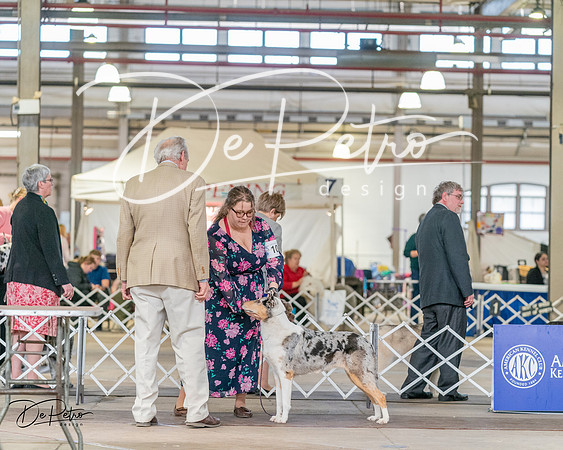 20240330-DSC00959