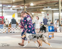 20240330-DSC00964