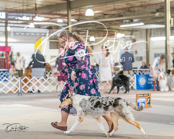20240330-DSC00964