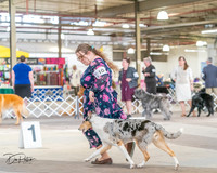 20240330-DSC00968