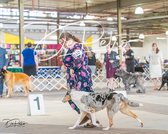 20240330-DSC00969