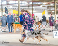 20240330-DSC00973