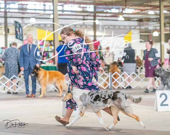 20240330-DSC00973