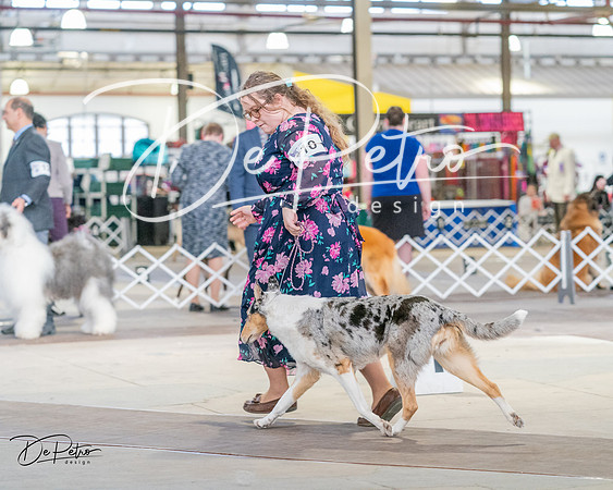 20240330-DSC00978