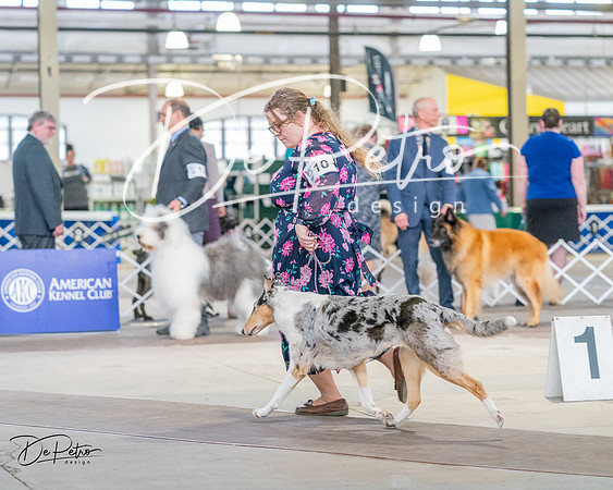 20240330-DSC00983