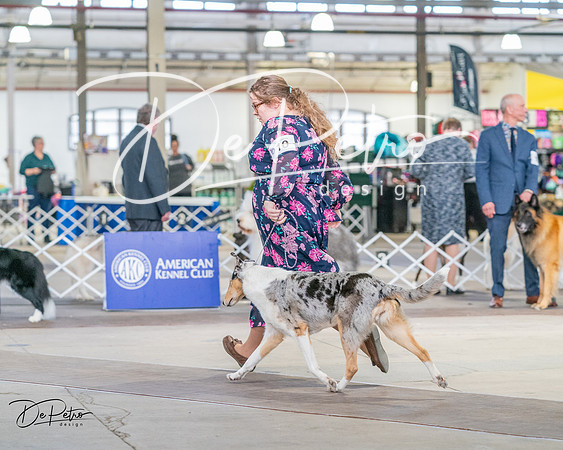 20240330-DSC00988
