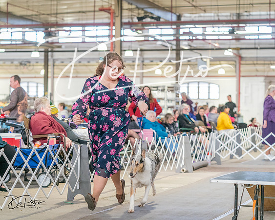 20240330-DSC00991