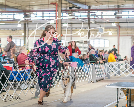 20240330-DSC00993