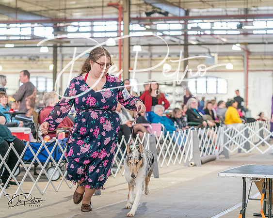 20240330-DSC00994