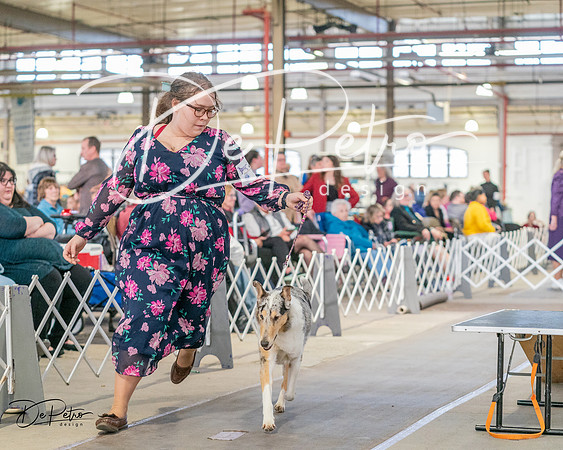 20240330-DSC00997