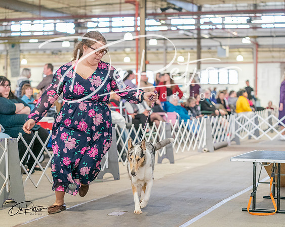 20240330-DSC00998
