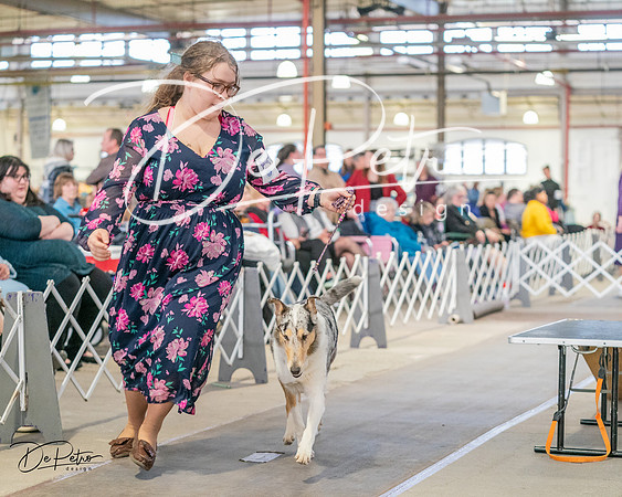 20240330-DSC01000