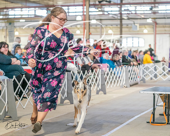 20240330-DSC01001