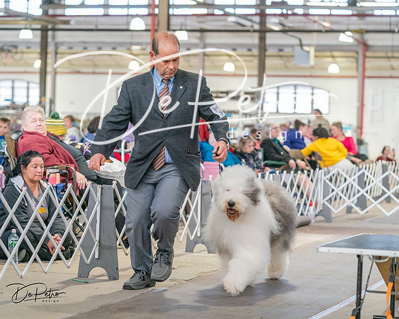 20240330-DSC01053