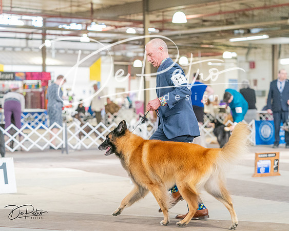 20240330-DSC01085