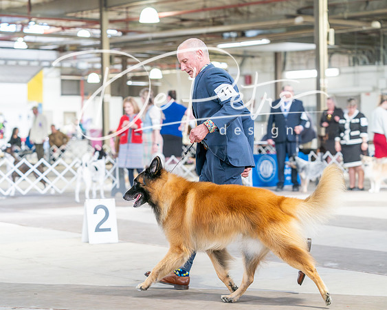 20240330-DSC01082