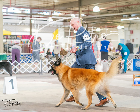 20240330-DSC01086