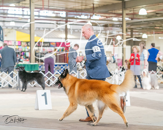 20240330-DSC01090