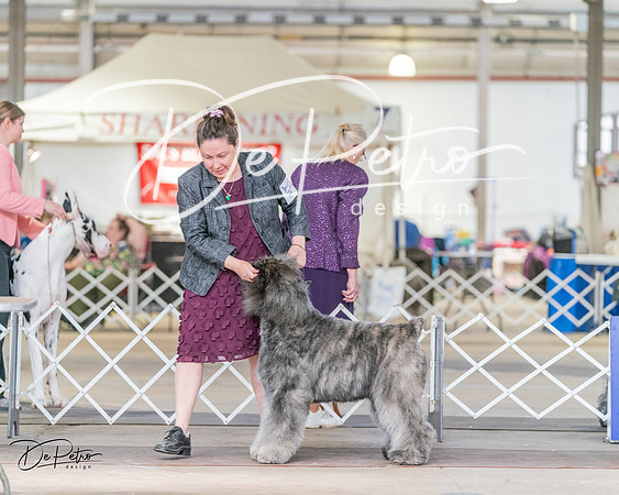 20240330-DSC01102
