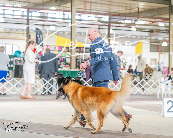 20240330-DSC01095