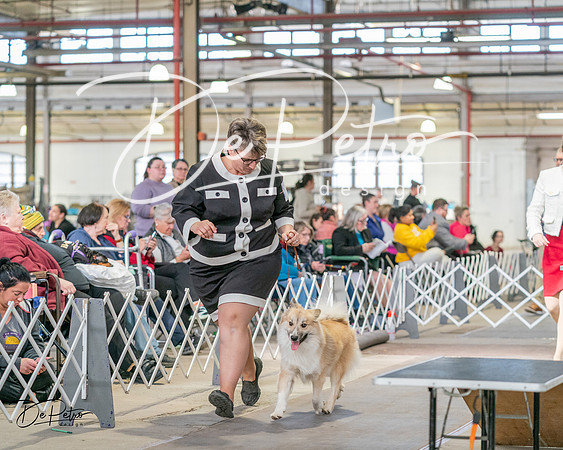 20240330-DSC01184