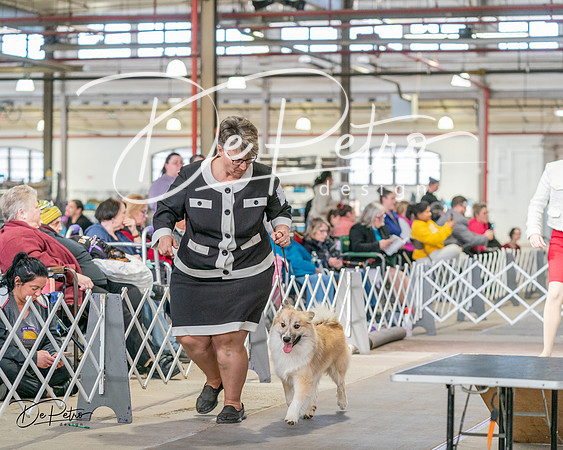 20240330-DSC01187