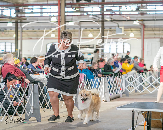20240330-DSC01188
