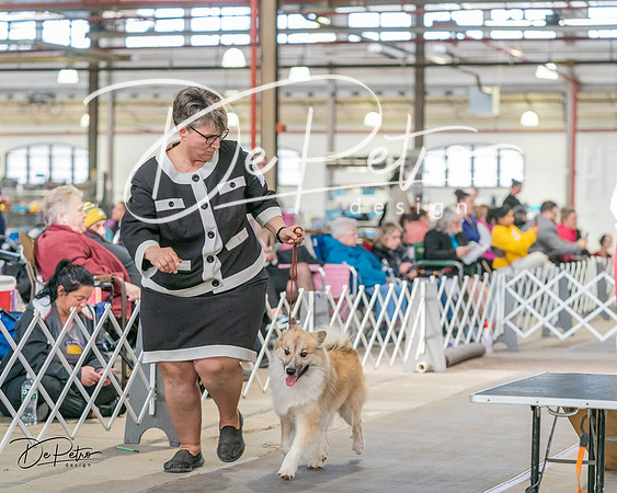 20240330-DSC01194