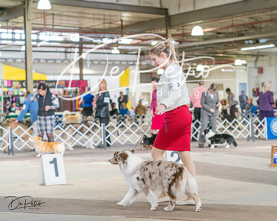 20240330-DSC01222