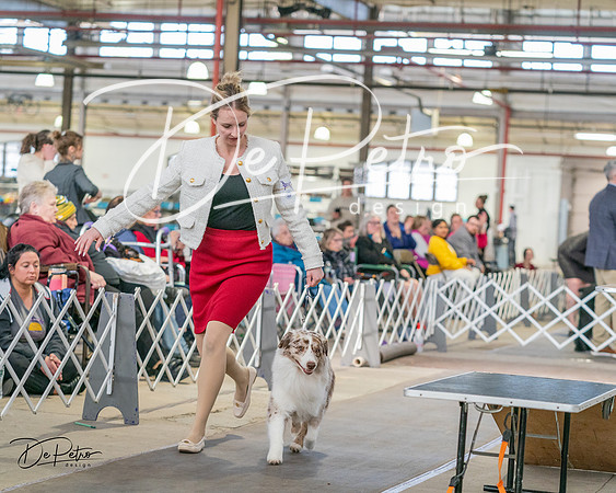 20240330-DSC01228