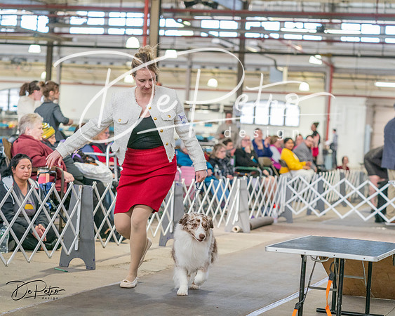 20240330-DSC01229
