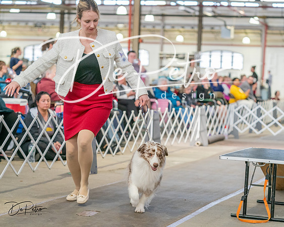 20240330-DSC01238