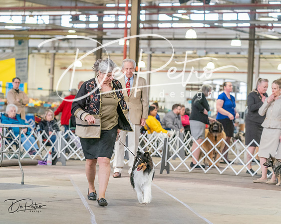 20240330-DSC01299