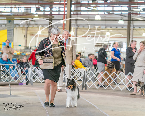 20240330-DSC01303