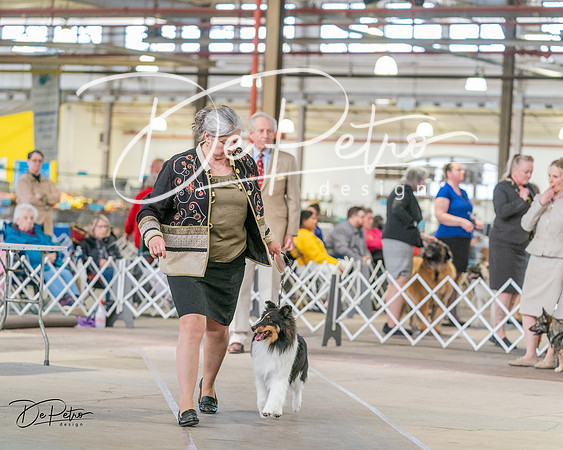 20240330-DSC01307