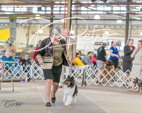 20240330-DSC01308